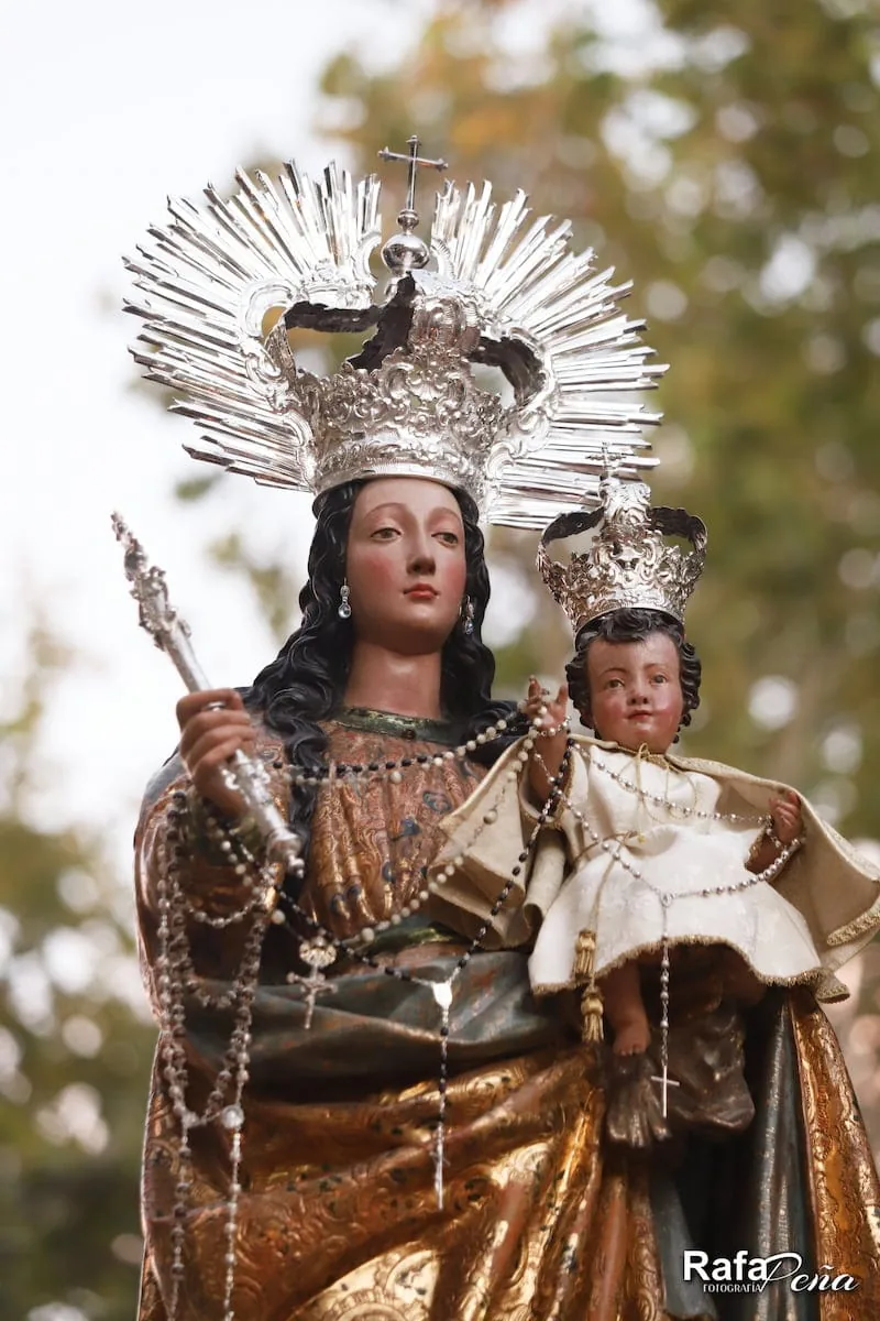 Nuestra Señora del Rosario, detalle de la corona y el manto
