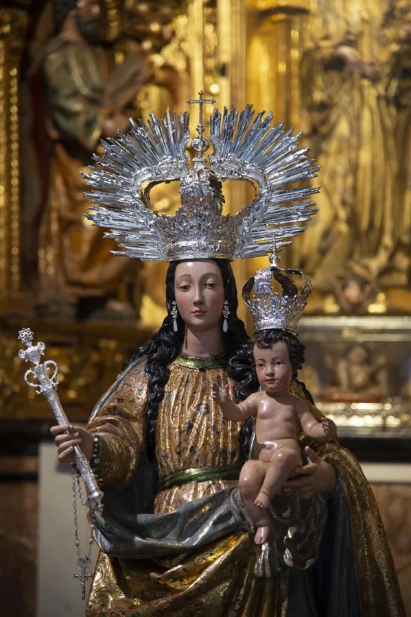 Nuestra Señora del Rosario, vista lateral de la imagen titular